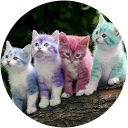 Soukaina Adenane profile picture