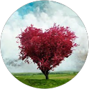 Elissa BEN HAMIDA profile picture