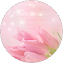 әдемі шадбекова profile picture