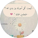 Mo'men Alhakem profile picture