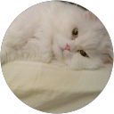 Sajjathhassan Hassan profile picture